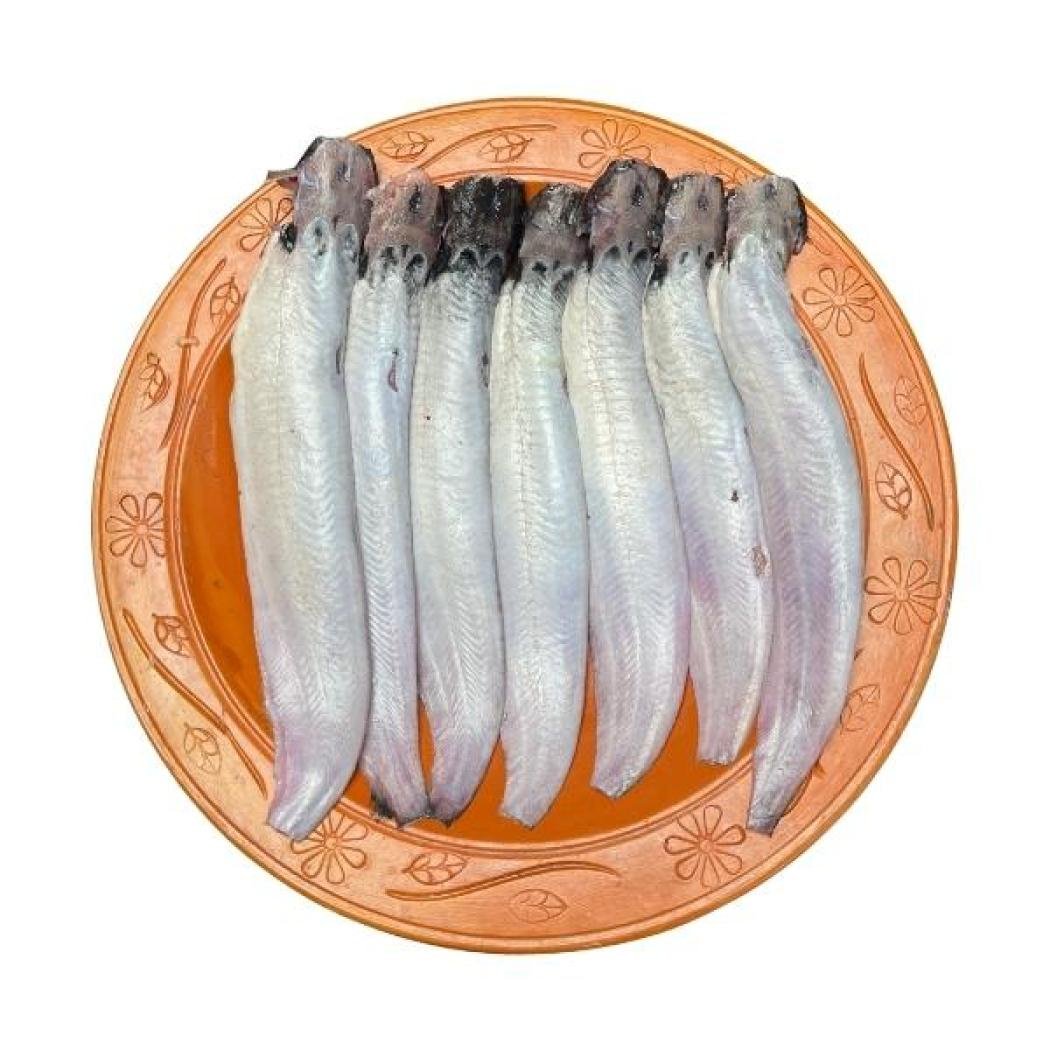 পুকুরের শিং মাছ